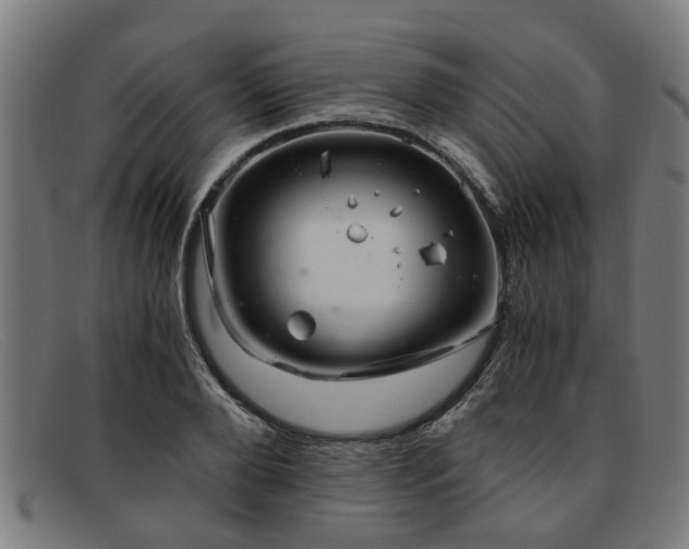 X0000091880888200709121411