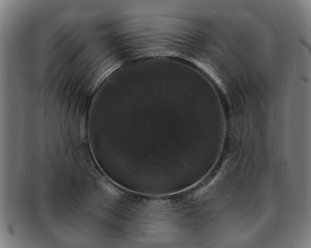 X0000091880889200709121411