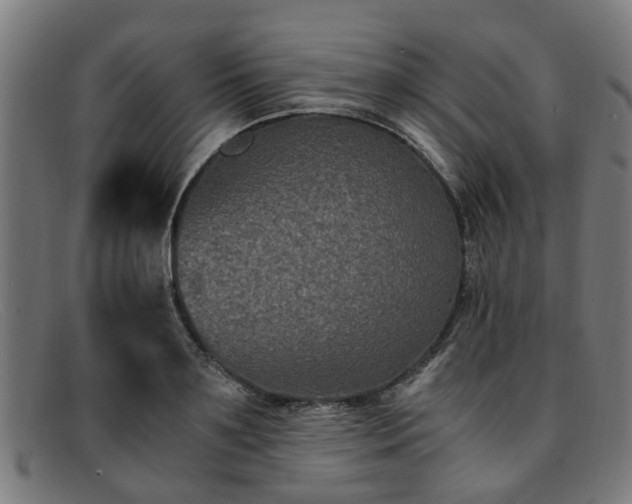 X0000091880891200709121411