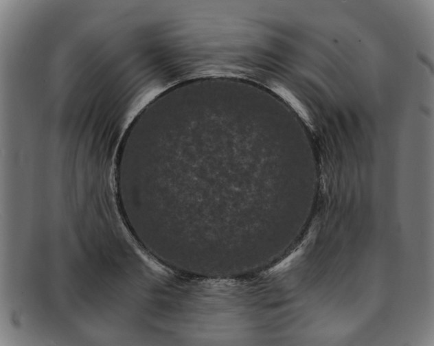 X0000091880893200709121411