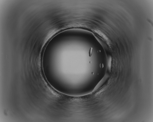 X0000091880894200709121411