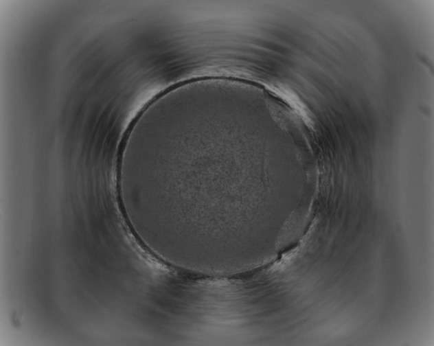 X0000091880896200709121411