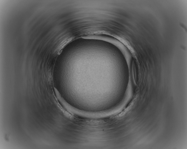 X0000091880897200709121411
