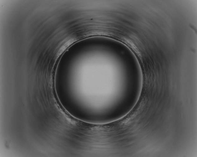 X0000091880898200709121411