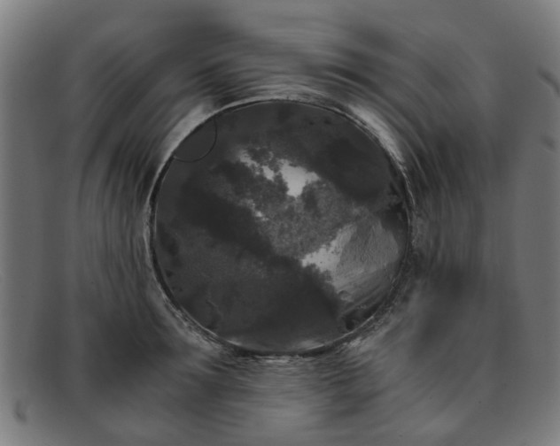 X0000091880899200709121411