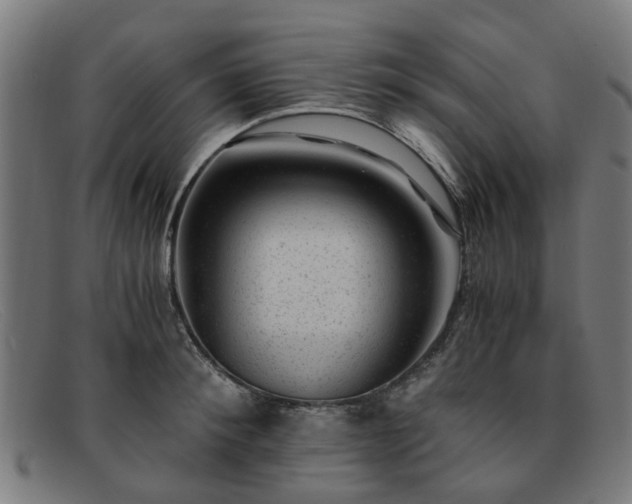 X0000091880900200709121411