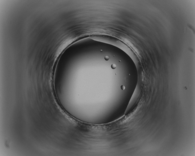 X0000091880901200709121411