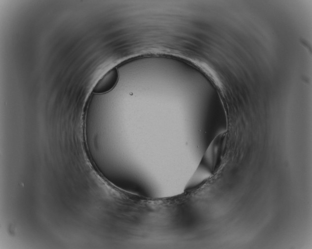 X0000091880903200709121411