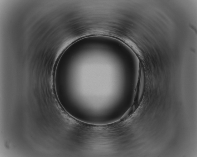 X0000091880904200709121411