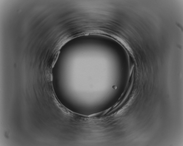 X0000091880905200709121411