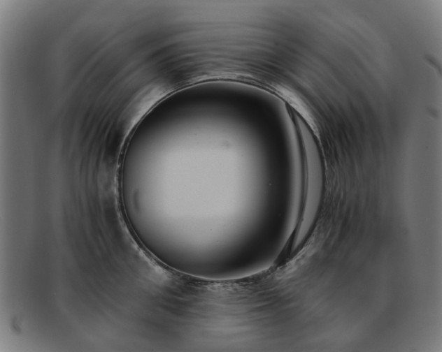 X0000091880906200709121411