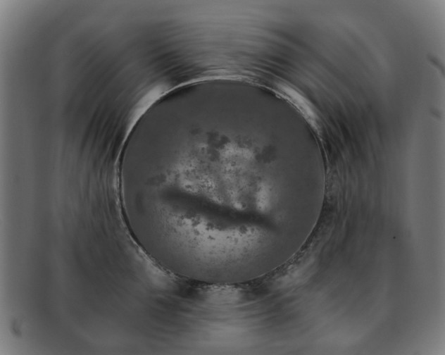 X0000091880907200709121411