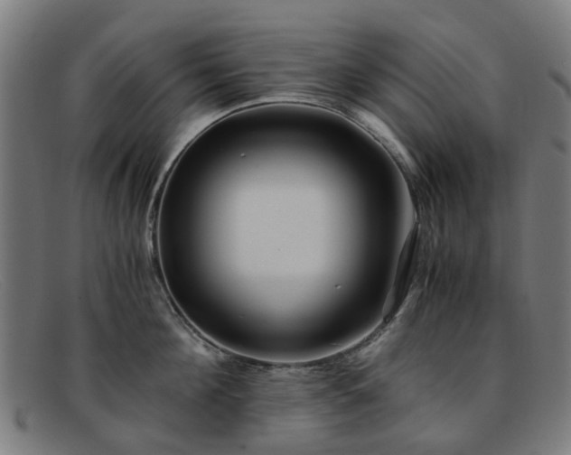X0000091880908200709121411