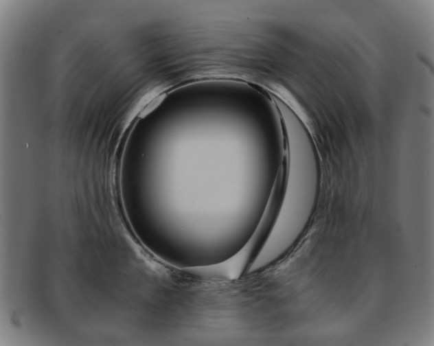 X0000091880909200709121411
