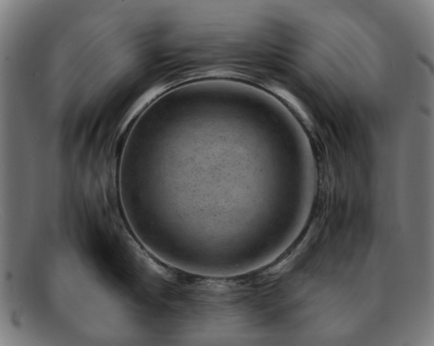 X0000091880910200709121411
