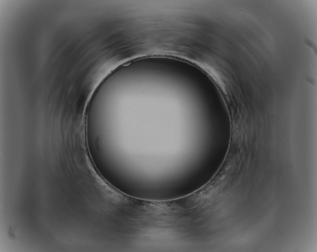 X0000091880911200709121411