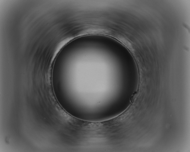 X0000091880912200709121411