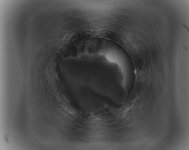 X0000091880913200709121410