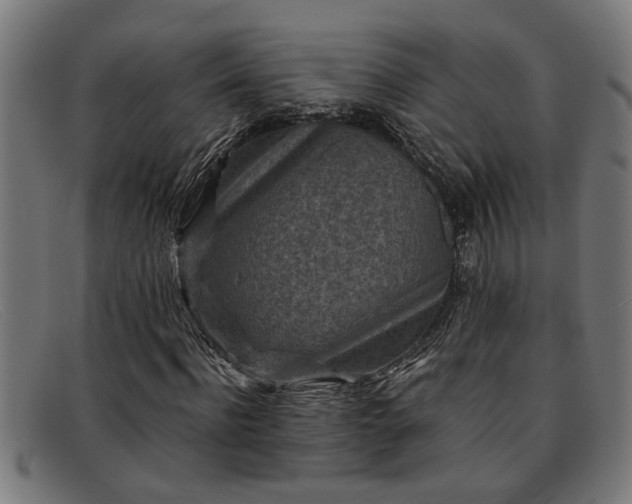 X0000091880916200709121410