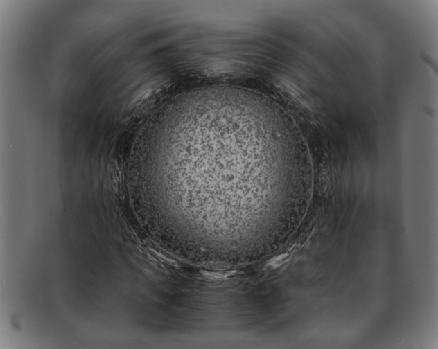 X0000091880917200709121410