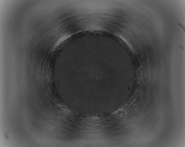 X0000091880919200709121410