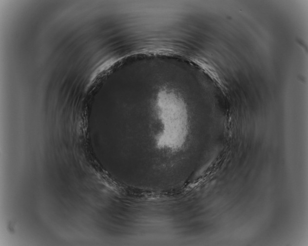 X0000091880920200709121410