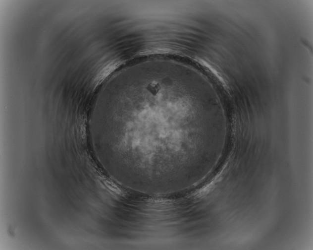 X0000091880921200709121410