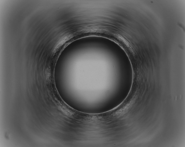 X0000091880922200709121410