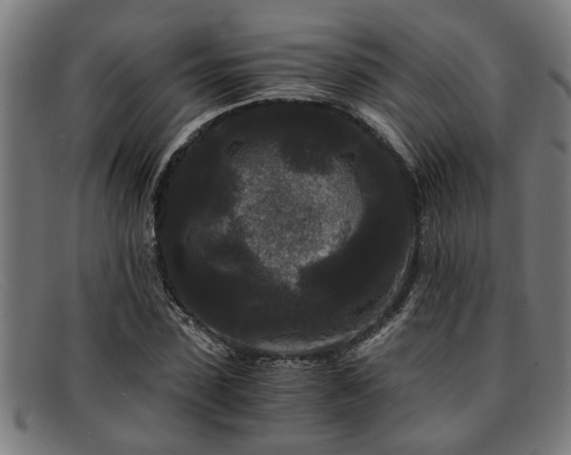 X0000091880923200709121410