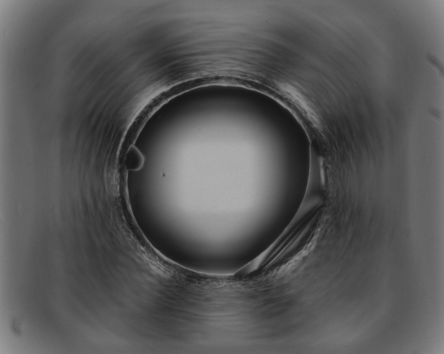 X0000091880924200709121410