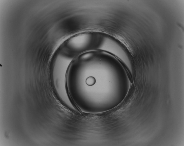 X0000091880926200709121410