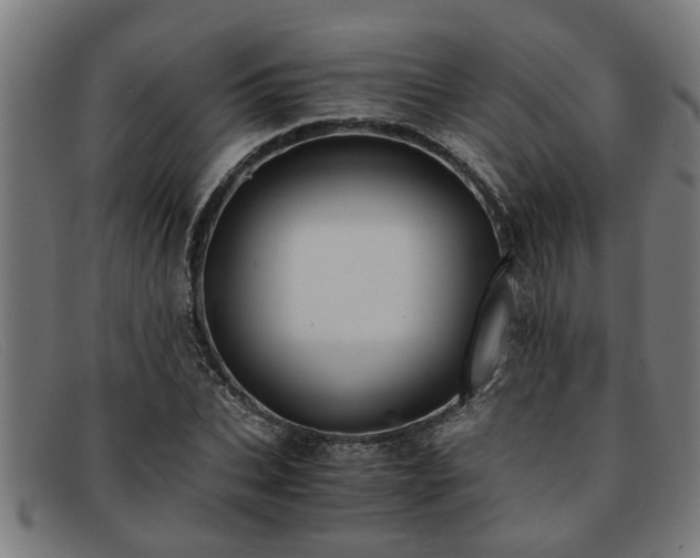 X0000091880927200709121410