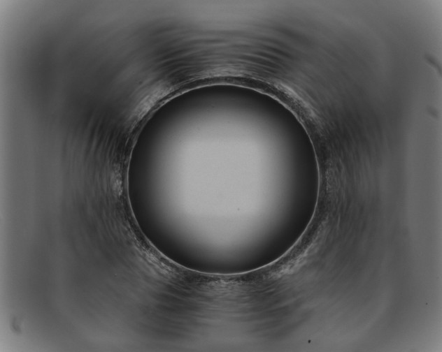 X0000091880929200709121410