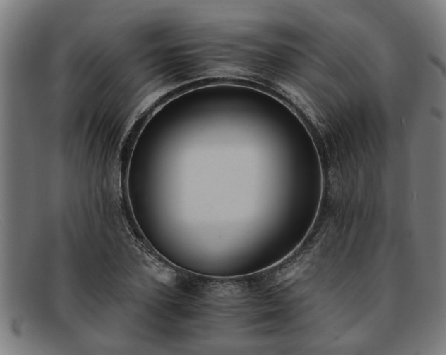 X0000091880931200709121411