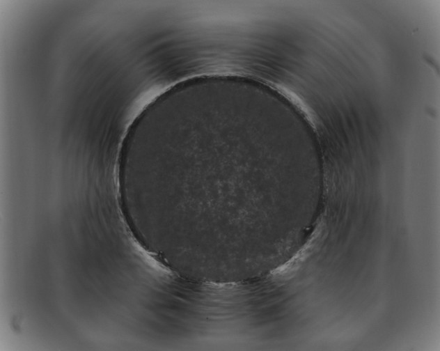 X0000091880935200709121411