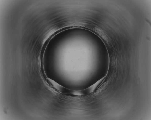 X0000091880936200709121411