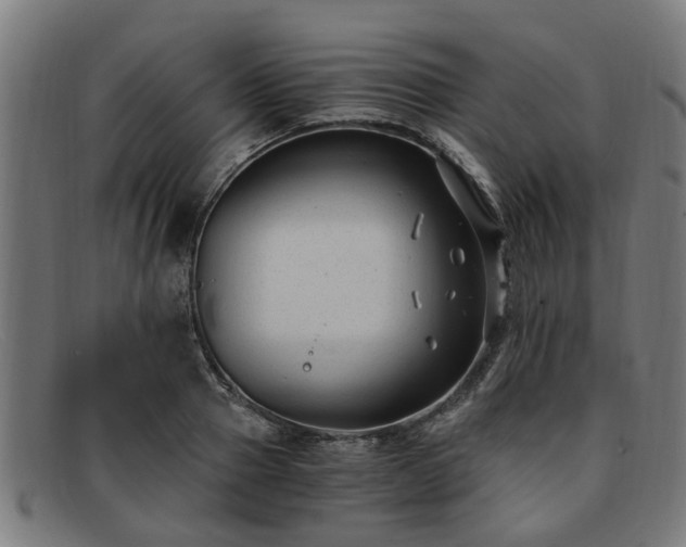 X0000091880937200709121411
