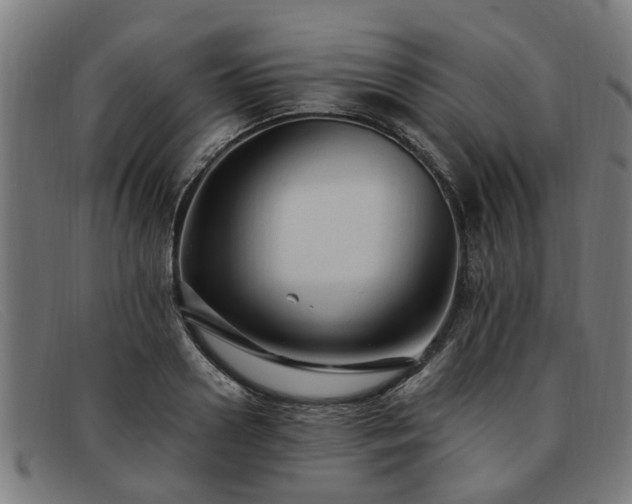 X0000091880938200709121411