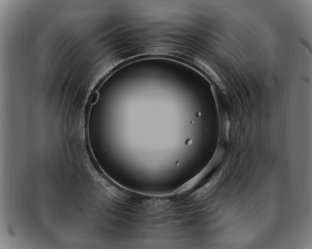 X0000091880939200709121411