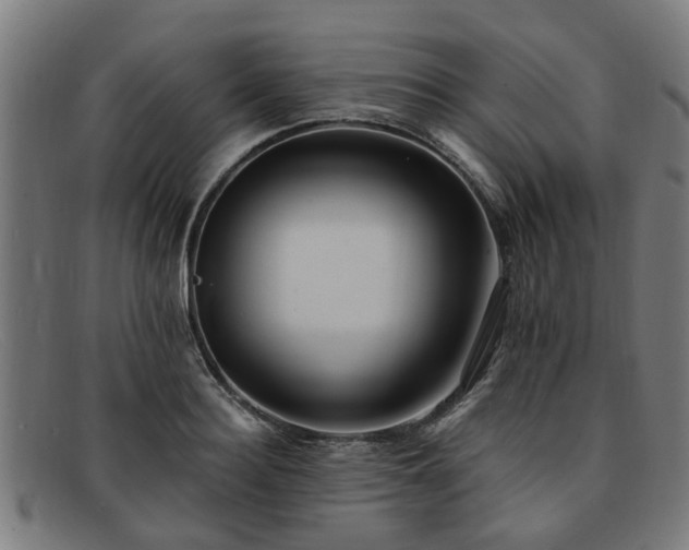 X0000091880940200709121411