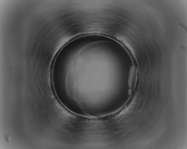 X0000091880941200709121411