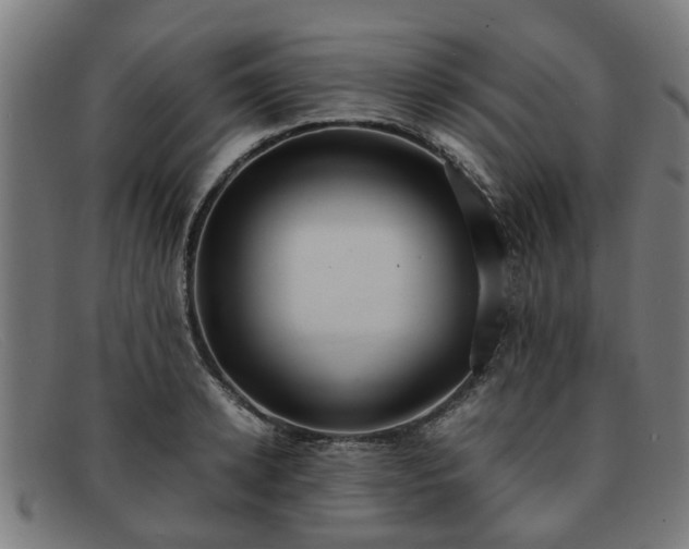 X0000091880942200709121411