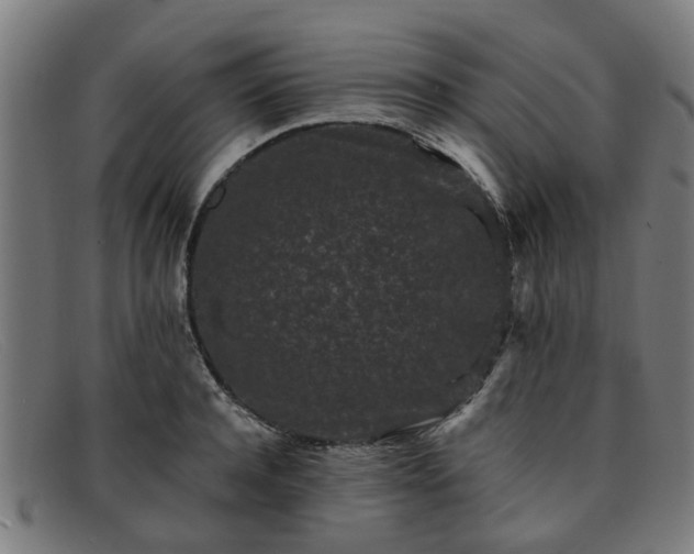 X0000091880944200709121411