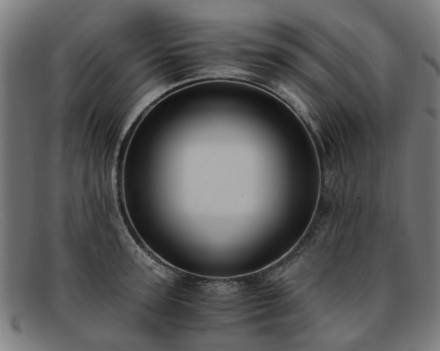 X0000091880947200709121411