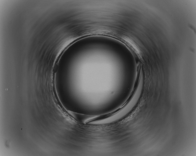 X0000091880948200709121411