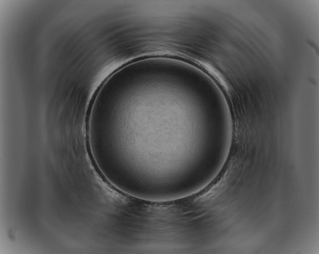 X0000091880951200709121411