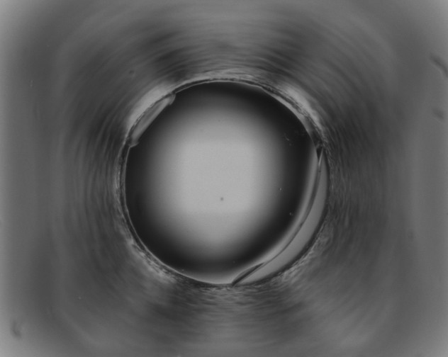 X0000091880952200709121411