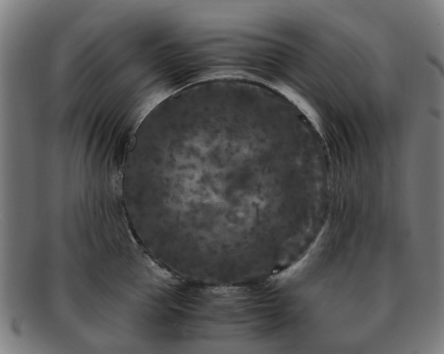 X0000091880953200709121411