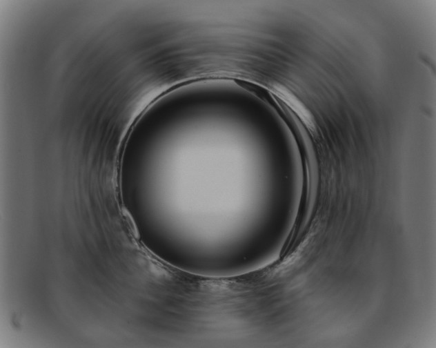 X0000091880956200709121411