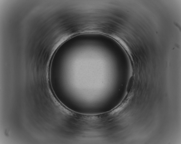 X0000091880957200709121411